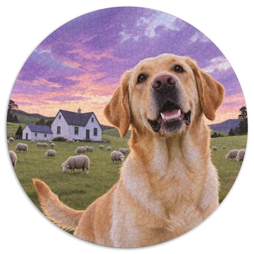 Labrador Retriever 1000 Teile Puzzle Tiere Rundes Puzzle Für Erwachsene Und Kinder Pädagogisches Für Erwachsene Kinder Buntes Tier Geschenke 1000pcs (67.5x67.5cm) von OJASDBDJE