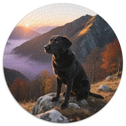 Labrador Retriever 1000 Teile Puzzles Haustier Hund Rund Puzzle Geeignet Ab 12 Jahren Pädagogisches Für Erwachsene Kinder Buntes Tier Stressabbau-Spielzeug 1000pcs (67.5x67.5cm) von OJASDBDJE