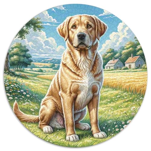 Labrador Retriever 1000 Teile Puzzles Tierhund Circular Puzzles Für Erwachsene Und Kinder Pädagogisches Für Erwachsene Kinder Buntes Tier Geschenke 1000pcs (67.5x67.5cm) von OJASDBDJE