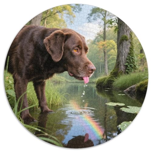 Labrador Retriever Mit 1000 Teilen Puzzle Haustier Hund Rundes Puzzle Geeignet Ab 12 Jahren Pädagogisches Für Erwachsene Kinder Buntes Tier Stressabbau-Spielzeug 1000pcs (67.5x67.5cm) von OJASDBDJE