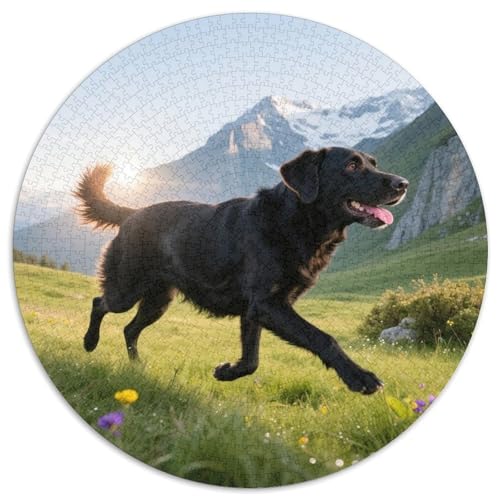 Labrador Retriever Mit 1000 Teilen Puzzles Haustier Hund Circular Puzzle Für Erwachsene Und Kinder Pädagogisches Für Erwachsene Kinder Buntes Tier Stressabbau-Spielzeug 1000pcs (67.5x67.5cm) von OJASDBDJE