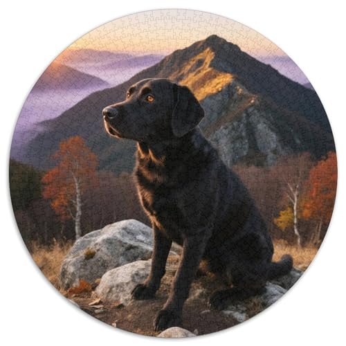 Labrador Retriever Mit 1000 Teilen Puzzles Haustier Hund Rund Puzzle Geeignet Ab 12 Jahren Pädagogisches Für Erwachsene Kinder Buntes Tier Geschenke 1000pcs (67.5x67.5cm) von OJASDBDJE
