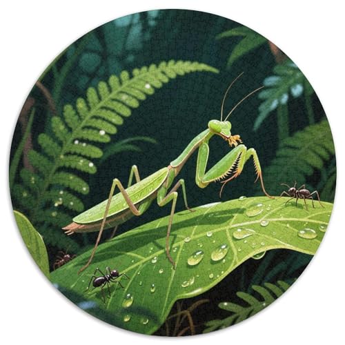 MAmeiseis Mit 1000 Teilen Puzzle Insekten Rundes Puzzle Für Erwachsene Und Kinder Pädagogisches Für Erwachsene Kinder Buntes Tier Stressabbau-Spielzeug 1000pcs (67.5x67.5cm) von OJASDBDJE