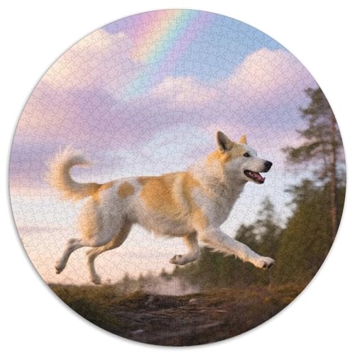 Norwegischer Lundehund Mit 1000 Teilen Puzzles Haustier Hund Circular Puzzles Geeignet Ab 12 Jahren Pädagogisches Für Erwachsene Kinder Buntes Tier Stressabbau-Spielzeug 1000pcs (67.5x67.5cm) von OJASDBDJE