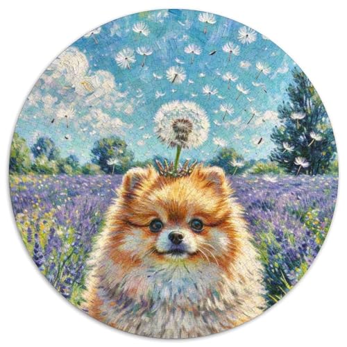 Pommern 1000 Teile Puzzle Haustier Hund Rundes Puzzle Für Erwachsene Und Kinder Pädagogisches Für Erwachsene Kinder Buntes Tier Stressabbau-Spielzeug 1000pcs (67.5x67.5cm) von OJASDBDJE