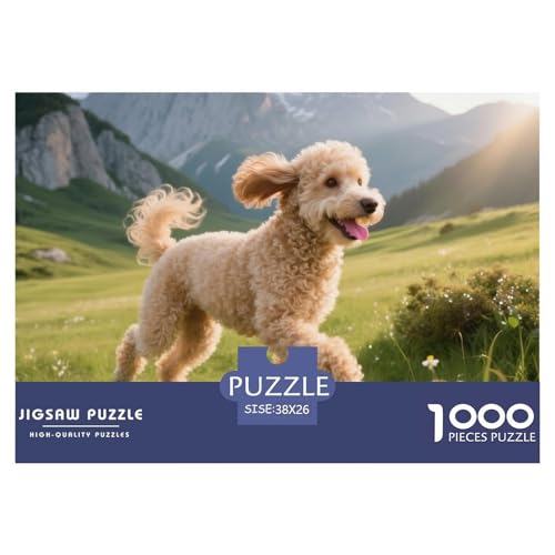 Poodle 1000 Teile Puzzle Haustier Hund Für Kinder Ab 12 Jahren Entspannend Detailreich Spielzeug Lernspiel 38x26cm/1000pcs Poodle 1000 Teile Puzzle Haustier Hund Für Kinder Ab 12 Jahren Entspannend Detailreich Spielzeug Lernspiel 38x26cm/1000pcs von OJASDBDJE