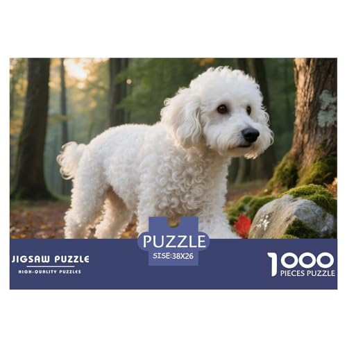 Poodle 1000 Teile Puzzle Haustier Hund Für Kinder Ab 12 Jahren Herausforderung Detailreich Spaß Pädagogisches Spiel 38x26cm/1000pcs von OJASDBDJE
