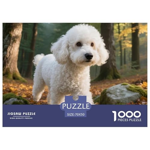 Poodle 1000 Teile Puzzle Haustier Hund Für Kinder Ab 12 Jahren Herausforderung Detailreich Spielzeug Lernspiel 70x50cm/1000pcs Poodle 1000 Teile Puzzle Haustier Hund Für Kinder Ab 12 Jahren Herausforderung Detailreich Spielzeug Lernspiel 70x50cm/1000pcs von OJASDBDJE