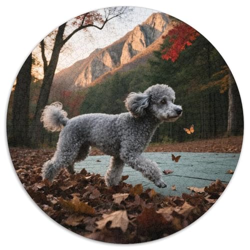 Poodle 1000 Teile Puzzle Haustier Hund Runde Kreispuzzles Geeignet Ab 12 Jahren Pädagogisches Für Erwachsene Kinder Buntes Tier Geschenke 1000pcs (67.5x67.5cm) von OJASDBDJE