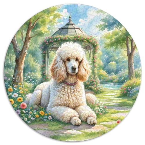 Poodle 1000 Teile Puzzles Tierhund Rund Puzzle Geeignet Ab 12 Jahren Pädagogisches Für Erwachsene Kinder Buntes Tier Geschenke 1000pcs (67.5x67.5cm) von OJASDBDJE