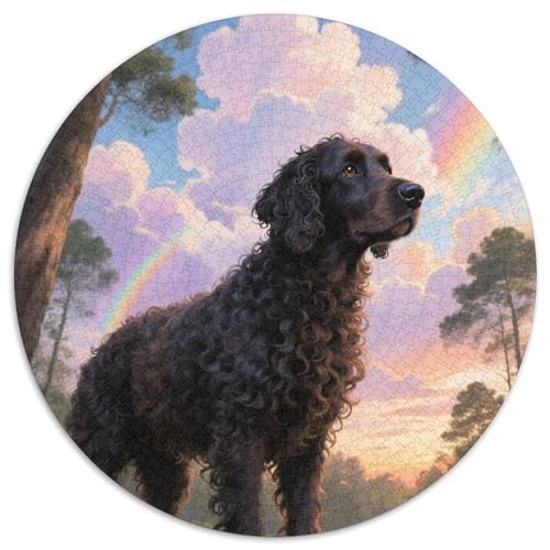 Portugiesischer Wasserhund 1000 Teile Puzzle Haustier Hund Runde Kreispuzzles Für Erwachsene Und Kinder Pädagogisches Für Erwachsene Kinder Buntes Tier Stressabbau-Spielzeug 1000pcs (67.5x67.5cm) von OJASDBDJE