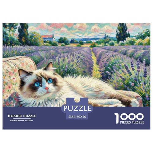 Ragdoll 1000 Teile Puzzle Pet Katze Für Die Ganze Familie Herausforderung Detailreich Spaß Pädagogisches Spiel 70x50cm/1000pcs von OJASDBDJE