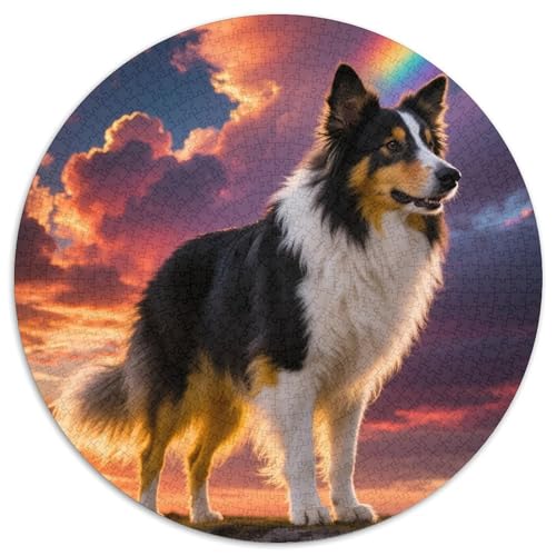 Rauer Collie 1000 Teile Puzzle Haustier Hund Rundes Puzzle Für Erwachsene Und Kinder Pädagogisches Für Erwachsene Kinder Buntes Tier Geschenke 1000pcs (67.5x67.5cm) von OJASDBDJE