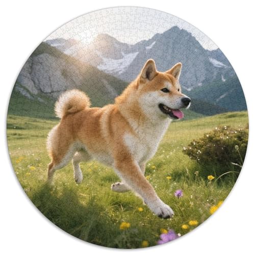 Shiba Inu Mit 1000 Teilen Puzzle Haustier Hund Rundes Puzzle Geeignet Ab 12 Jahren Pädagogisches Für Erwachsene Kinder Buntes Tier Stressabbau-Spielzeug 1000pcs (67.5x67.5cm) von OJASDBDJE