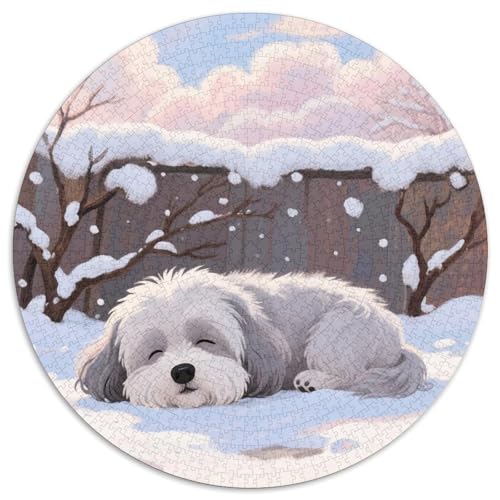 Shih Tzu Mit 1000 Teilen Puzzles Tierhund Runde Kreispuzzles Geeignet Ab 12 Jahren Pädagogisches Für Erwachsene Kinder Buntes Tier Stressabbau-Spielzeug 1000pcs (67.5x67.5cm) von OJASDBDJE