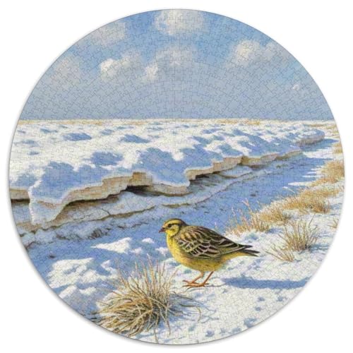 Yellowhammer 1000 Teile Puzzle Vogel Rundes Puzzle Geeignet Ab 12 Jahren Pädagogisches Für Erwachsene Kinder Buntes Tier Stressabbau-Spielzeug 1000pcs (67.5x67.5cm) von OJASDBDJE