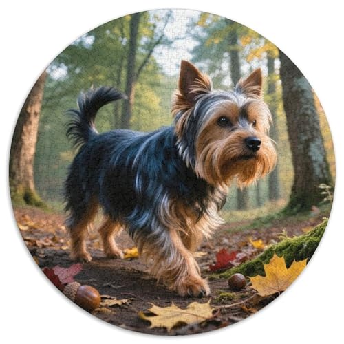 Yorkshire Terrier 1000 Teile Puzzles Haustier Hund Circular Puzzles Geeignet Ab 12 Jahren Pädagogisches Für Erwachsene Kinder Buntes Tier Stressabbau-Spielzeug 1000pcs (67.5x67.5cm) von OJASDBDJE