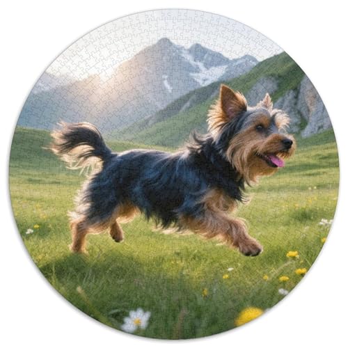 Yorkshire Terrier Mit 1000 Teilen Puzzle Haustier Hund Circular Puzzles Geeignet Ab 12 Jahren Pädagogisches Für Erwachsene Kinder Buntes Tier Stressabbau-Spielzeug 1000pcs (67.5x67.5cm) von OJASDBDJE