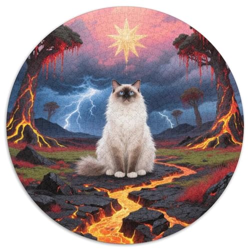 birmanischenischen 1000 Teile Puzzle Pet Katze Circular Puzzles Geeignet Ab 12 Jahren Pädagogisches Für Erwachsene Kinder Buntes Tier Geschenke 1000pcs (67.5x67.5cm) von OJASDBDJE
