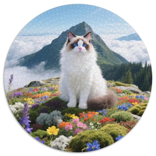 birmanischenischen 1000 Teile Puzzle Pet Katze Rund Puzzle Für Erwachsene Und Kinder Pädagogisches Für Erwachsene Kinder Buntes Tier Stressabbau-Spielzeug 1000pcs (67.5x67.5cm) von OJASDBDJE