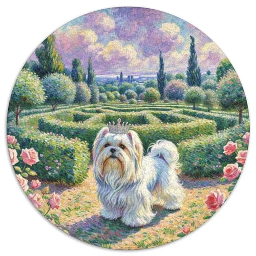 maltesisch Mit 1000 Teilen Puzzle Haustier Hund Rundes Puzzle Geeignet Ab 12 Jahren Pädagogisches Für Erwachsene Kinder Buntes Tier Geschenke 1000pcs (67.5x67.5cm) von OJASDBDJE
