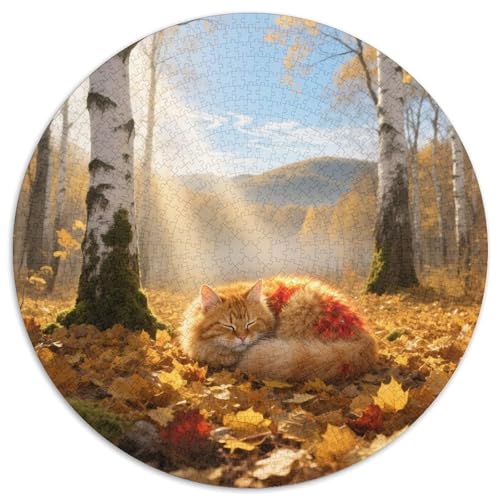 sibirischen 1000 Teile Puzzle Pet Katze Rund Puzzle Für Erwachsene Und Kinder Pädagogisches Für Erwachsene Kinder Buntes Tier Stressabbau-Spielzeug 1000pcs (67.5x67.5cm) von OJASDBDJE