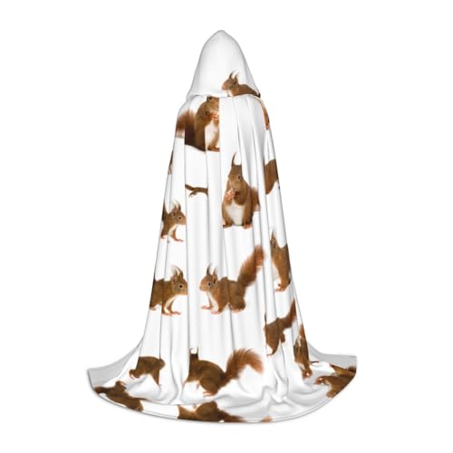OKFSTY Süßes Eichhörnchen Uni Halloween Kapuzenumhang Cosplay Kostüm Weihnachten für Halloween Karneval Cosplay Party OKFSTY Süßes Eichhörnchen Uni Halloween Kapuzenumhang Cosplay Kostüm Weihnachten für Halloween Karneval Cosplay Party von OKFSTY