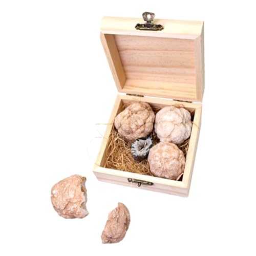 OKUMEYR Edelstein-Ausgrabungsset Geode S Dig Kit Steinsammlung für Jungen Mädchen und Erwachsene Grabset von OKUMEYR
