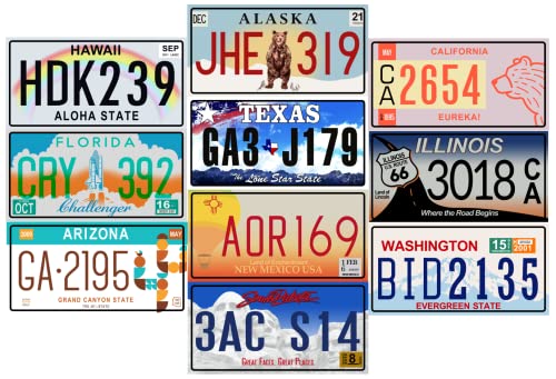 - Lot von 10 US-Autokennzeichen aus Metall - Repliken echter amerikanischer Kennzeichen der berühmtesten amerikanischen Staaten - MAD von OPO 10