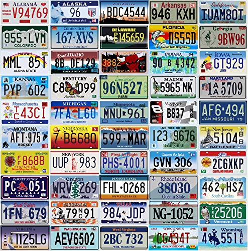 OPO 10 - 50 US-Bundesstaaten LIZENZPLATTEN Set - Replica Real American USA Metal Car Plates von OPO 10