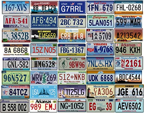 OPO 10 - Los von 40 USA Autokennzeichen aus Metall - Repliken von echten amerikanischen Kennzeichen (40) von OPO 10