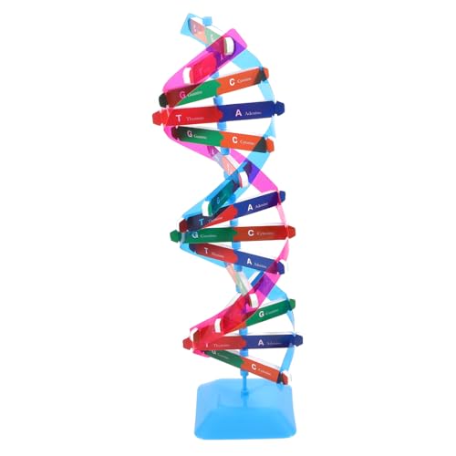 ORFOFE 1Satz DNA Modell Kit für Biologieunterricht DIY Doppelhelix Struktur Pädagogisches Lehrinstrument für Schule und Zuhause Lernspielzeug Chemie ORFOFE 1Satz DNA Modell Kit für Biologieunterricht DIY Doppelhelix Struktur Pädagogisches Lehrinstrument für Schule und Zuhause Lernspielzeug Chemie von ORFOFE
