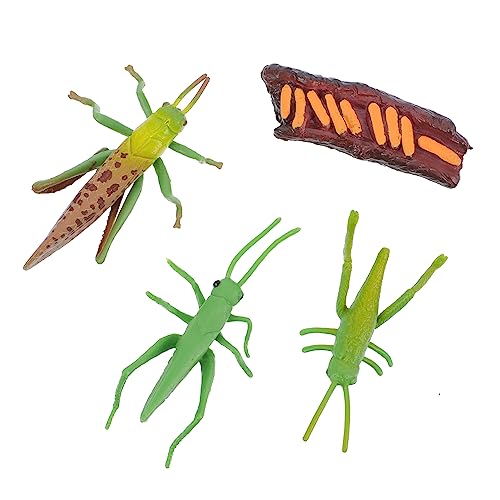 ORFOFE 1Satz Insektenlebenszyklus Spielzeugset Realistische Cricket Figuren Für Frühe Bildung Tischdekoration Hochdetaillierte Insektenmodellfiguren Für Sammler Teile ORFOFE 1Satz Insektenlebenszyklus Spielzeugset Realistische Cricket Figuren Für Frühe Bildung Tischdekoration Hochdetaillierte Insektenmodellfiguren Für Sammler Teile von ORFOFE