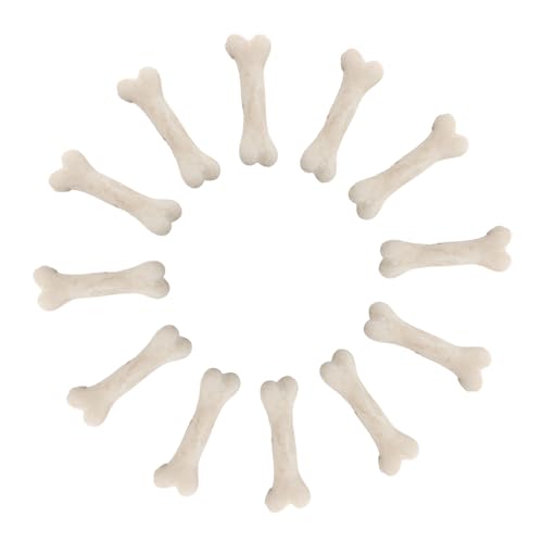 ORFOFE 20 Stück Simulative Mini Knochen Modell Realistische Resin Knochen für DIY Basteln Mikrolandschaft Dekoration Halloween Party Zubehör von ORFOFE