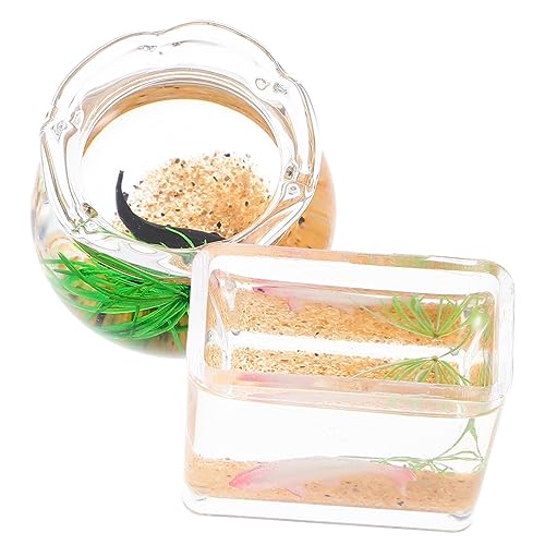 ORFOFE 2Stücke Miniaturschalen für Fische Teiliges für Puppenhaus Dekoration und Zufällige Fischfarbe Zubehör für Mini Häuser Fördert Kreativität und Spaß ORFOFE 2Stücke Miniaturschalen für Fische Teiliges für Puppenhaus Dekoration und Zufällige Fischfarbe Zubehör für Mini Häuser Fördert Kreativität und Spaß von ORFOFE