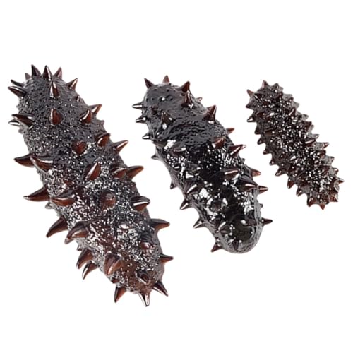 ORFOFE 3 Stück Teiliges Sea Cucumber Modell aus PVC Realistische Simulation mit Groß Mittel Klein als Dekoration Fotorequisite Restaurant Küchenpräsentation ORFOFE 3 Stück Teiliges Sea Cucumber Modell aus PVC Realistische Simulation mit Groß Mittel Klein als Dekoration Fotorequisite Restaurant Küchenpräsentation von ORFOFE