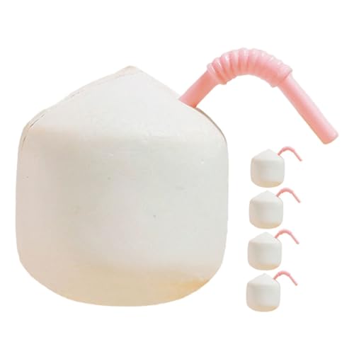 ORFOFE 5 Stück Teiliges Mini Kokosnuss Modellset aus Robustem Resin Realistische Künstliche Kokosnüsse als Puppenhaus Deko Miniatur Landschaftsaccessoire Vielseitig Verwendbar für Heim von ORFOFE