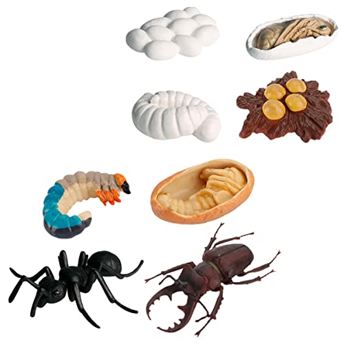 ORFOFE 8Stücke Insektenwachstums Modellset Realistische Ameisenfiguren für Pädagogische Zwecke und Kreative Dekoration für Kinderzimmer und Lernspielzeug zur Darstellung des ORFOFE 8Stücke Insektenwachstums Modellset Realistische Ameisenfiguren für Pädagogische Zwecke und Kreative Dekoration für Kinderzimmer und Lernspielzeug zur Darstellung des von ORFOFE