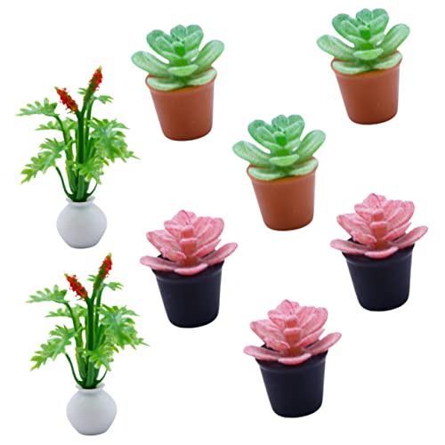 ORFOFE 8Stücke Teiliges Pflanzen Künstliche Sukkulenten für Puppenhaus Dekoration Realistische Bonsai Modelle Szenen ORFOFE 8Stücke Teiliges Pflanzen Künstliche Sukkulenten für Puppenhaus Dekoration Realistische Bonsai Modelle Szenen von ORFOFE
