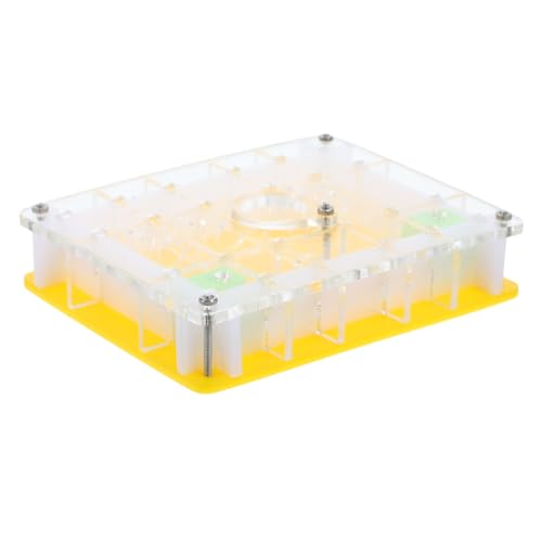 ORFOFE Acryl Transparent Leichtes Formicarium Ameisenbeobachtungsbox für Ameisenzucht Lernspielzeug Inklusive Ant Climbing Farm für Wissenschaft und Bildung von ORFOFE