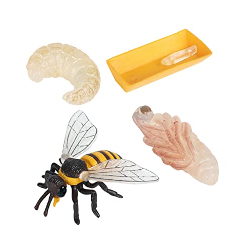 ORFOFE Bienen Lebenszyklus Modell Teiliges Lernspielzeug Plastikkognitive Figuren Pädagogisch Vielseitig Einsetzbar für Vorschulkinder und Frühförderung von ORFOFE