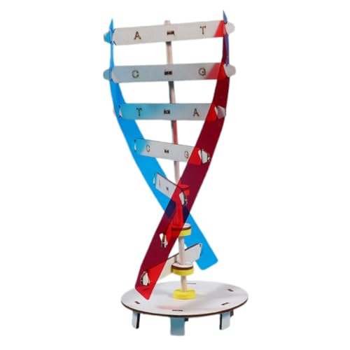 ORFOFE DIY Bausatz DNA Doppelhelix Modell aus Pädagogisches Wissenschaftsspielzeug für Fördert Genetisches Verständnis Interaktives Lernspielzeug für Schüler und Lehrer ORFOFE DIY Bausatz DNA Doppelhelix Modell aus Pädagogisches Wissenschaftsspielzeug für Fördert Genetisches Verständnis Interaktives Lernspielzeug für Schüler und Lehrer von ORFOFE