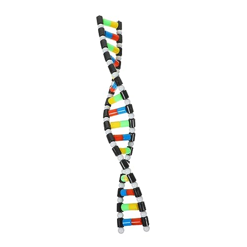 ORFOFE DNA Modell Doppelhelix Lernspielzeug für Biologieunterricht Interaktives Molekulares aus Sicherem Kunststoff für Schüler und Unterricht Anschauliche Demonstration im Klassenzimmer ORFOFE DNA Modell Doppelhelix Lernspielzeug für Biologieunterricht Interaktives Molekulares aus Sicherem Kunststoff für Schüler und Unterricht Anschauliche Demonstration im Klassenzimmer von ORFOFE