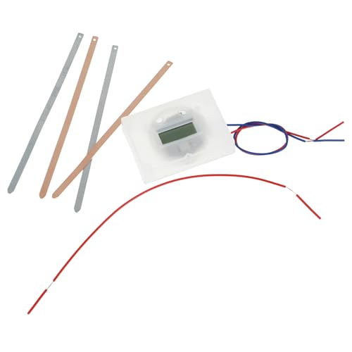 ORFOFE Fruchtbatterie Experimentierkasten für Schüler mit DIY Obstbatterie und Kartoffeluhr Edukatives Wissenschaftsspielzeug zur Praktischer Fähigkeiten für Schule und Zuhause von ORFOFE