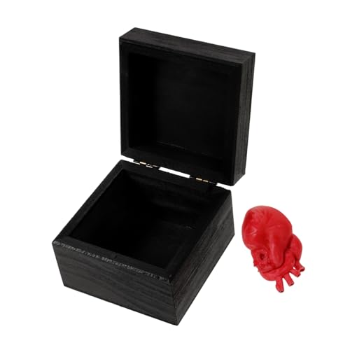 ORFOFE Herz-orgel-geschenkbox Herz Dekorationen Halloween-deko-stütze Fake-Herz- Simulation Menschlicher Organe Kunstherzen- Simuliertes Herzmodell Halloween-Herz-Requisite Harz ORFOFE Herz-orgel-geschenkbox Herz Dekorationen Halloween-deko-stütze Fake-Herz- Simulation Menschlicher Organe Kunstherzen- Simuliertes Herzmodell Halloween-Herz-Requisite Harz von ORFOFE