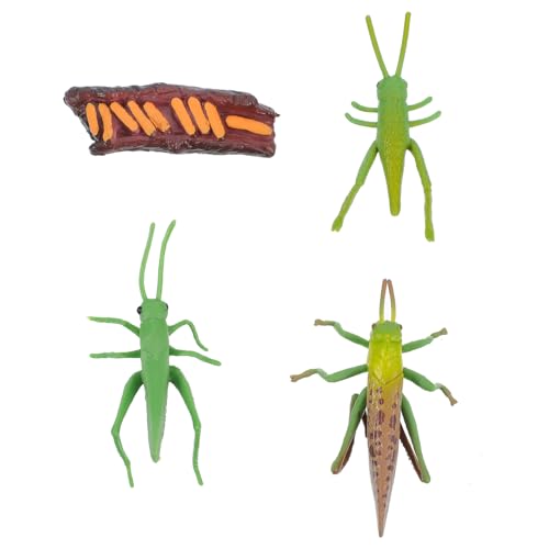 ORFOFE Lebenszyklus Modellspielzeug Kricket Figuren Handbemalt Realistisch Pädagogisch Frühkindliche Lernmodelle Tischdekoration von ORFOFE