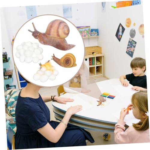 ORFOFE Lernspielzeug Tier Lebenszyklus Modell Pädagogisches Kognitives Tiermodell Wachstumszyklus für Frühe Bildung und Naturwissenschaftliches Lernen von ORFOFE