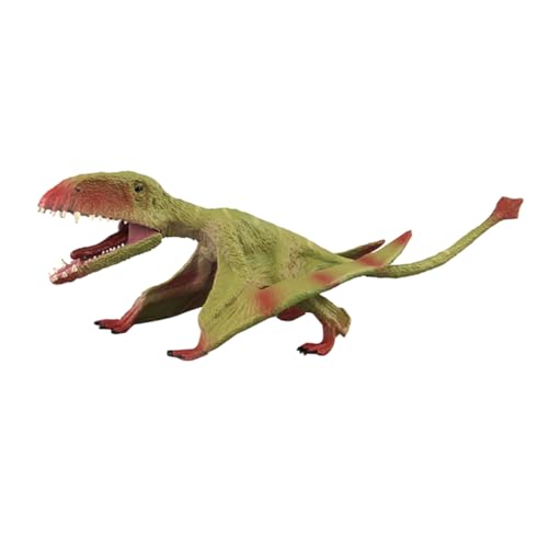 ORFOFE Pterodactyl Modell Realistische Flugsaurier Figur Langlebig Umweltfreundlich Lebensechtes Dinosauriermodell für Geschenk und Dekoration ORFOFE Pterodactyl Modell Realistische Flugsaurier Figur Langlebig Umweltfreundlich Lebensechtes Dinosauriermodell für Geschenk und Dekoration von ORFOFE