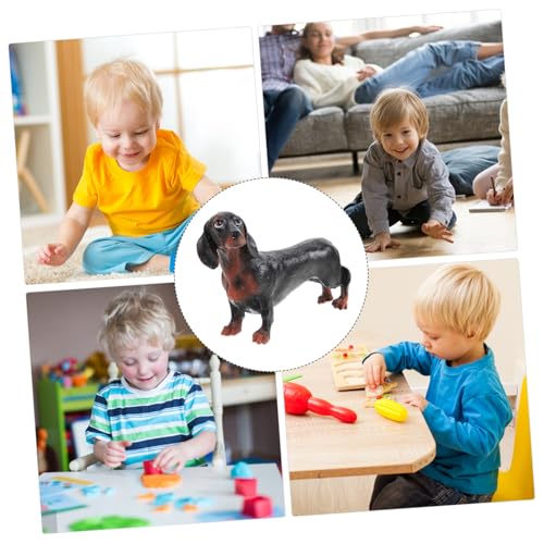 ORFOFE Realistische Dackel Figur aus Kunststoff Detailgetreues Hundemodell zur Dekoration Pädagogisches Lebensechte Simulation für Kinderzimmer und Sammler von ORFOFE