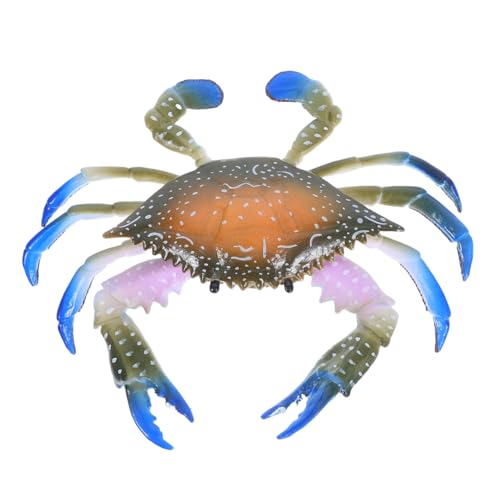 ORFOFE Realistisches Blaues Krabben aus Kunststoff Farbiges Meereslebewesen Modell Detailreiches Kreativität und Fantasie Dekoratives Aquarium Deko von ORFOFE